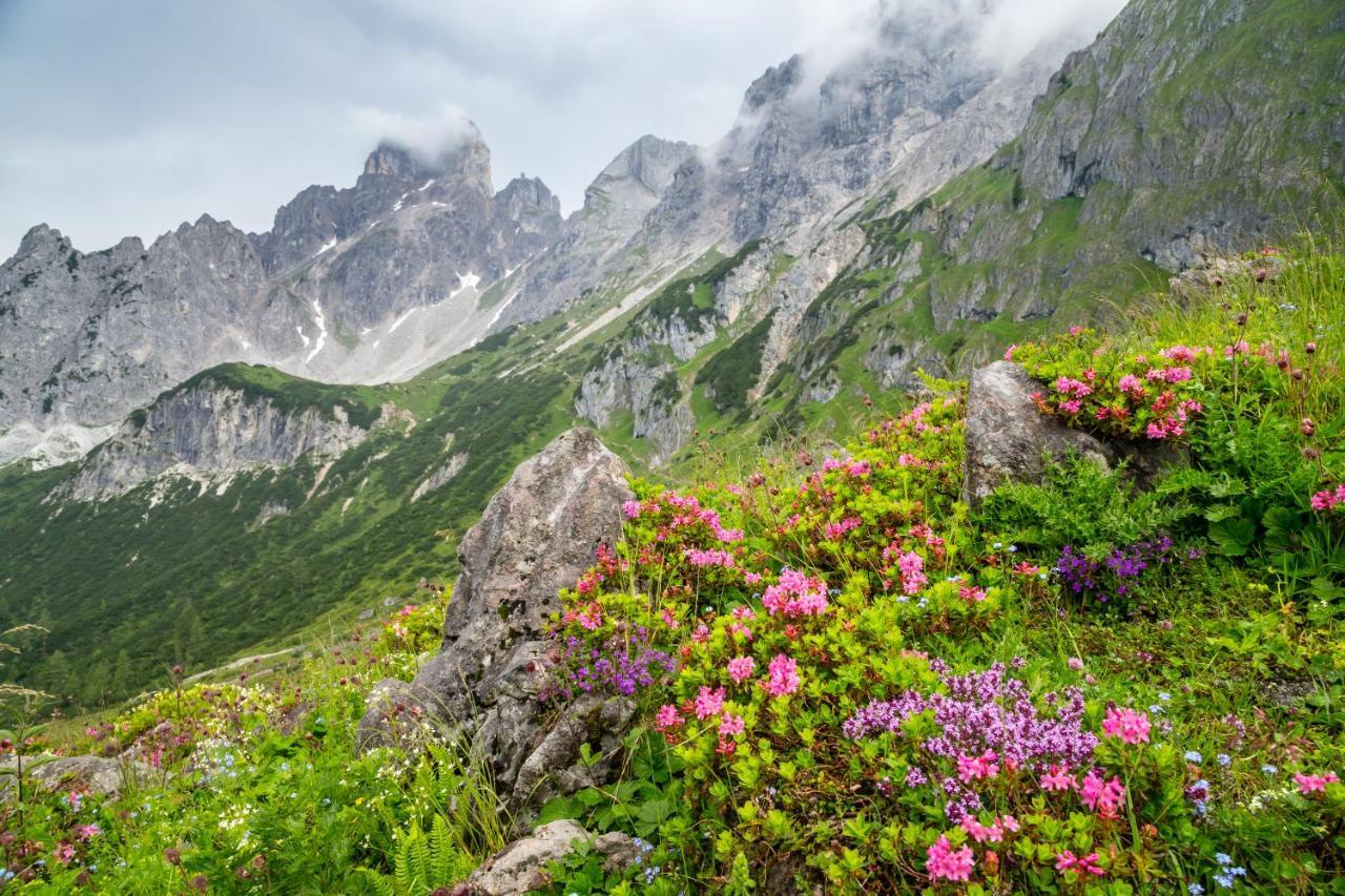 Gaestehaus Herrmann Filzmoos Bagian luar foto